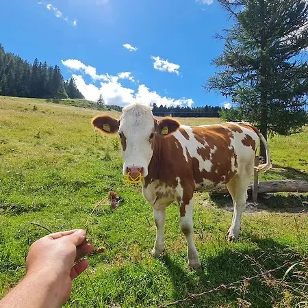 Almhuette Sunset - 1510m Chalet Flattnitz