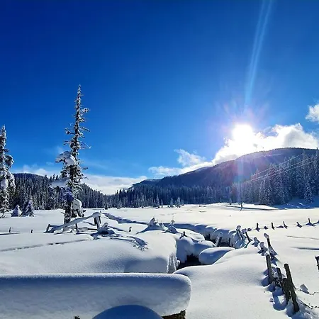 Almhuette Sunset - 1510m *