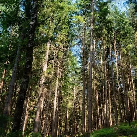 Almhuette Sunset - 1510m Chalet