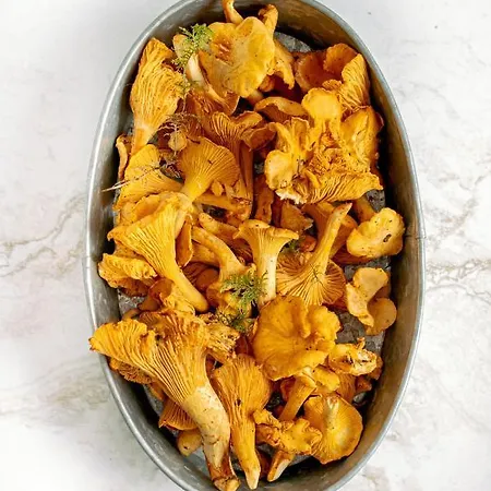 Chalet Almhuette Sunset - 1510m *