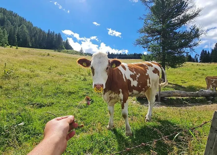 Almhuette Sunset - 1510m בקתה Flattnitz