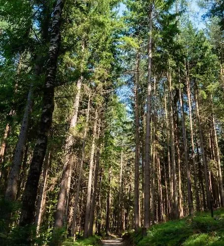 Almhuette Sunset - 1510m בקתה