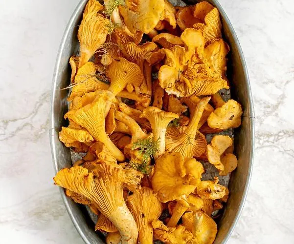 בקתה Almhuette Sunset - 1510m *